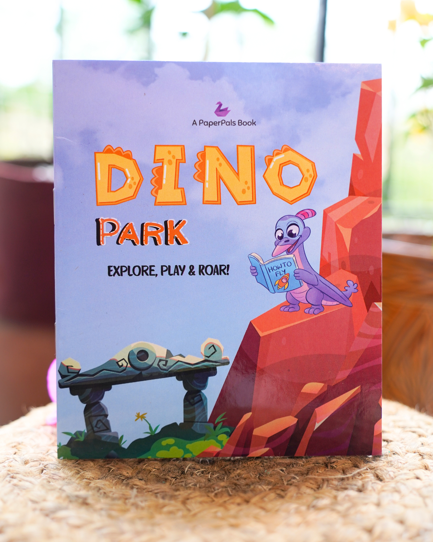 Dino Park Box
